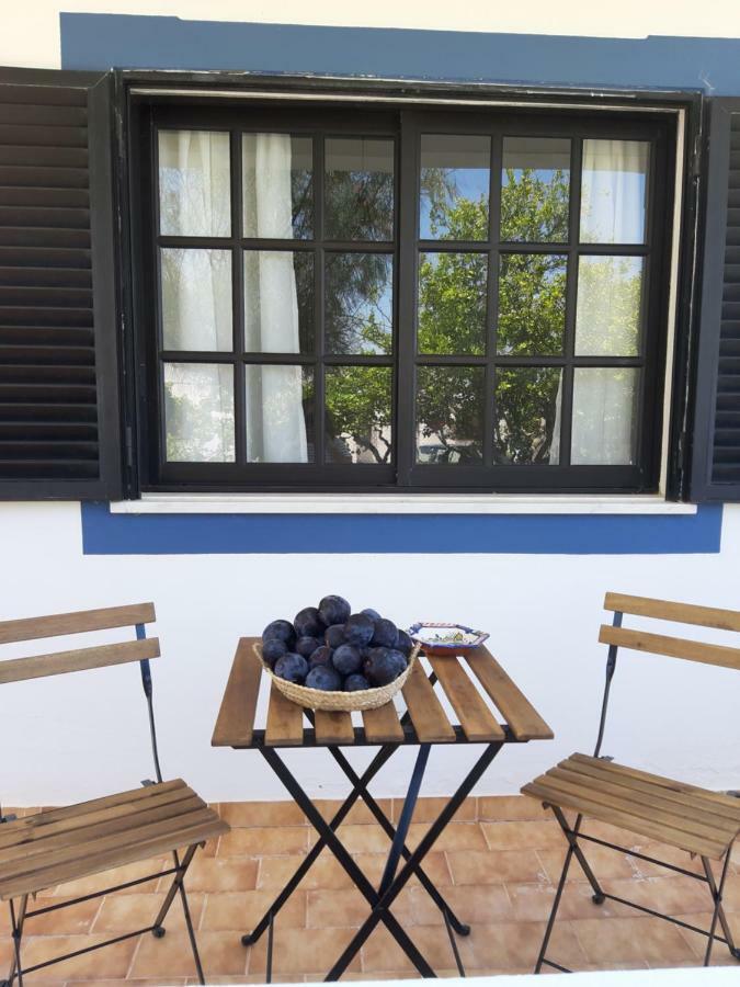 Monte Madalena Holiday home Adega